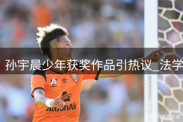 孙宇晨少年获奖作品引热议 法学专家称其思想深度超胡锡进
