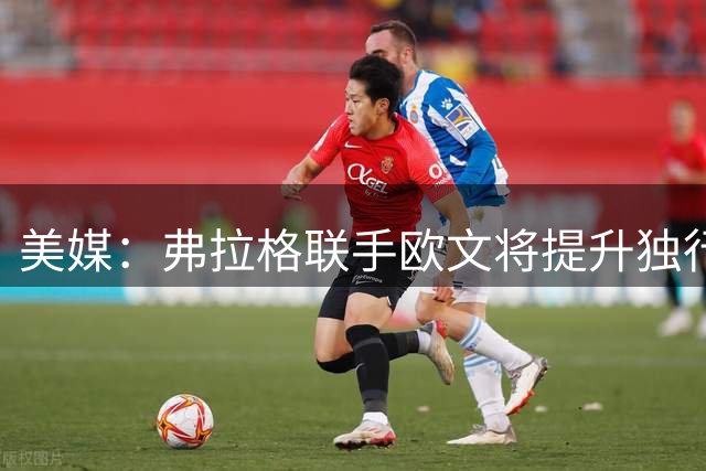 美媒：弗拉格联手欧文将提升独行侠观赏性